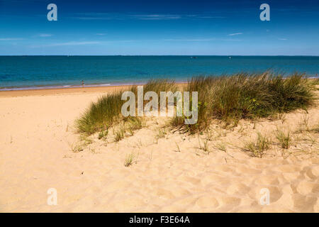 Saint Georges d'Oleron Saumonards spiaggia Isola d'Oléron Poitou - Charentes Charente Maritime Francia Europa Foto Stock