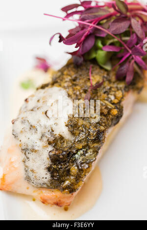 Rivestito di salmone con erbe e spezie con viola i germogli di ravanello Foto Stock