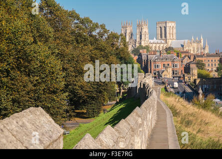 Iconico punto di riferimento di York Minster, visto da mura medievali della città di York, North Yorkshire, Inghilterra, Regno Unito Foto Stock