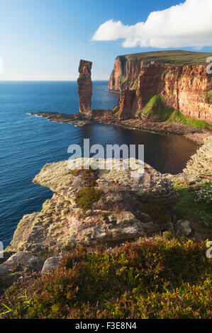 Il vecchio uomo di Hoy - famoso stack del mare sull'isola di Hoy, Orkney Islands, Scozia. Foto Stock