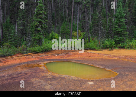 Paint Pots, ferro-freddo ricco di sorgenti minerali nel Kootenay National Park, British Columbia, Canada Foto Stock