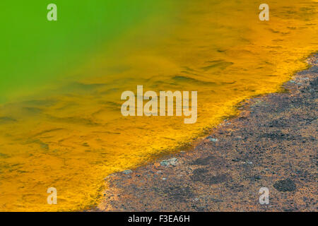 Paint Pots, ferro-freddo ricco di sorgenti minerali nel Kootenay National Park, British Columbia, Canada Foto Stock