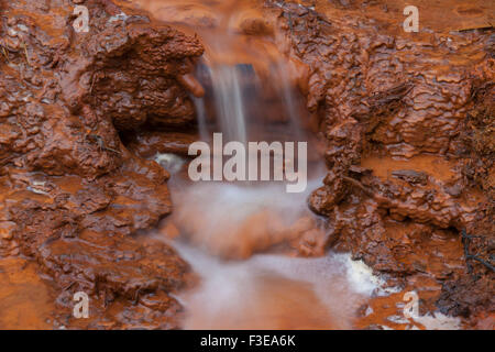 Paint Pots, ferro-freddo ricco di sorgenti minerali nel Kootenay National Park, British Columbia, Canada Foto Stock