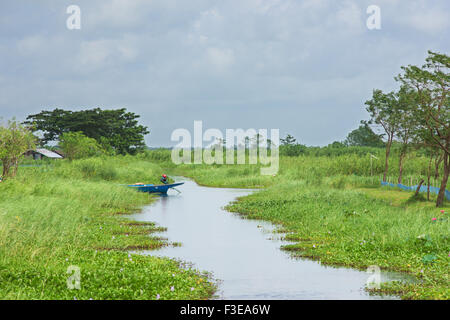 Paesaggio rurale con canali tra i campi di riso e gli allevamenti ittici al Ayeyarwaddy Regione in Myanmar. Foto Stock