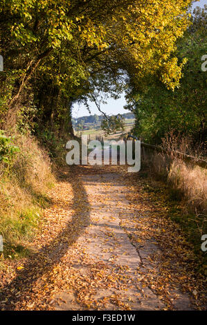 Cotswold modo sentiero in autunno. Stanway, Cotswolds, Gloucestershire, Inghilterra Foto Stock