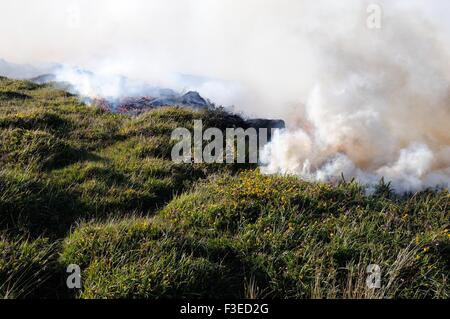 Gorse controllato e heather masterizzare Inishnee Roundstone Connemara Irlanda Foto Stock