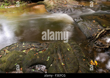 Divinità scolpito rocce di fiume. Spean Kabal. Kabal Spean è un parco di circa 60km fuori in campagna. Ho appena andato lì pensando che essa' Foto Stock