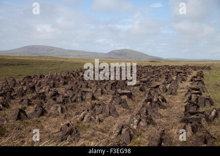 Blocchi di tagliare la torba di essiccazione al sole su North Uist, Ebridi Esterne della Scozia. Foto Stock