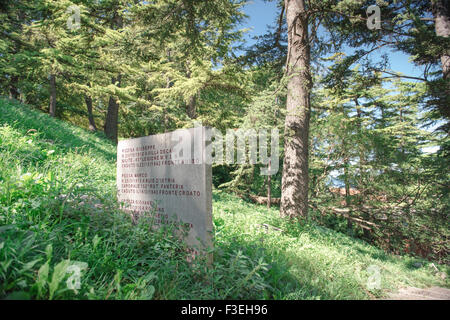 Trieste san giusto memoria Hill park, lastre di pietra in memoria Park (parco della Rimembranza) sulla San Giusto Hill a Trieste. Foto Stock