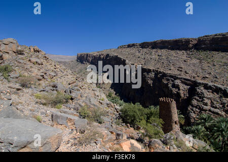 Vista della Torre le rovine e i canyon nell'oasi villaggio di Misfat al Abriyeen nel Sultanato di Oman, Foto Stock