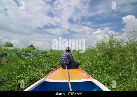 Navigazione in barca su uno stretto canale attraverso i campi di riso e pesce azienda agricola nella divisione Ayeyarwaddy di Myanmar. Foto Stock