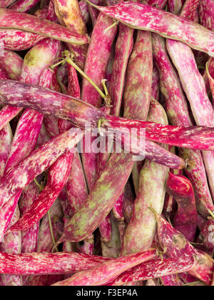 Fagioli rossi, fagioli borlotti per la decorticatura. Inverno sano cibo. Foto Stock