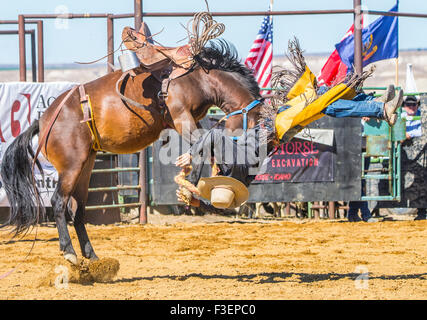 Rodeo, Bruneau Round-Up, Wild Ride, Saddle Bronc Riding, Bruneau, Idaho, Stati Uniti d'America Foto Stock