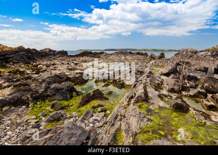 Maree piscine di roccia sul robusto foreshore di angolo di West Bay in Il Pembrokeshire Coast National Park, Wales, Regno Unito Foto Stock