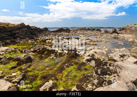 Maree piscine di roccia sul robusto foreshore di angolo di West Bay in Il Pembrokeshire Coast National Park, Wales, Regno Unito Foto Stock