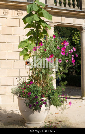 L'Holburne Museum Great Pulteney Street Bath Foto Stock