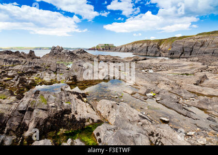 Maree piscine di roccia sul robusto foreshore di angolo di West Bay in Il Pembrokeshire Coast National Park, Wales, Regno Unito Foto Stock