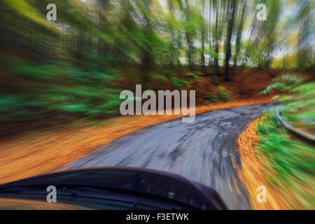 Guida auto veloci nella foresta di autunno Foto Stock