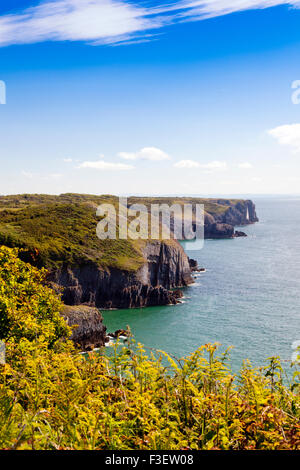 Guardando lungo il drammatico paesaggio costiero verso Lydstep punto Il Pembrokeshire Coast National Park, Wales, Regno Unito Foto Stock