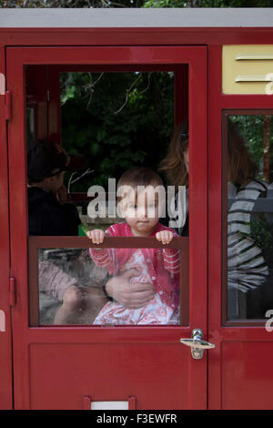 Famiglia su di un treno alla stazione ferroviaria Perrygrove e Treetop avventura, Coleford, Foresta di Dean, England, Regno Unito Foto Stock