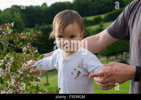Padre aiutando 18 mese vecchio bimba a camminare Foto Stock