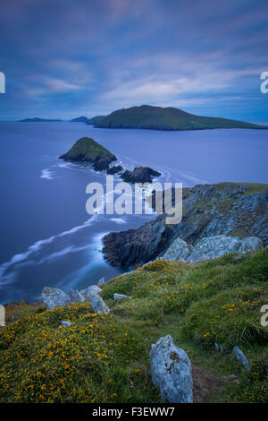 Crepuscolo sopra Dunmore testa con isole Blasket al di là, la penisola di Dingle, nella contea di Kerry, Repubblica di Irlanda Foto Stock