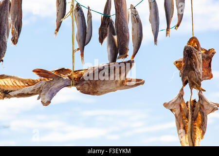 Geografie, Vatnsnes, Trockenfisch, Isola Foto Stock