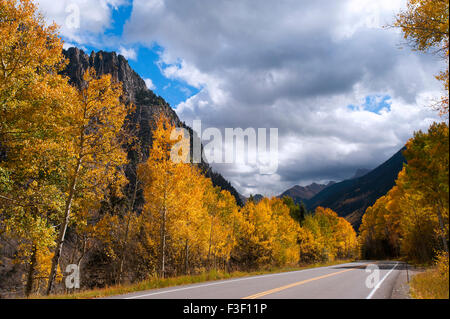 Viene visualizzata la foglia vicino a Telluride, Colorado Foto Stock