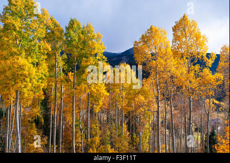 Autumn Leaf visualizzazioni di Telluride, CO come si vede da una gondola Foto Stock
