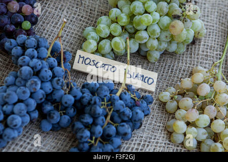 Le uve di Moscato sul display in un italiano di Mercato degli Agricoltori Foto Stock