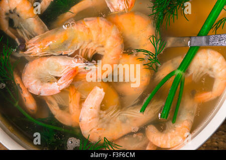 Gamberi bolliti in una pentola con acqua e la zuppa di aneto Foto Stock