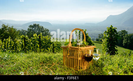 Cestello con bottiglie di vino nei vigneti Foto Stock