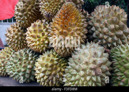 Durian Fruit, Colombo, Ceylon, Sri Lanka, Repubblica Democratica Socialista dello Sri Lanka, Asia Foto Stock