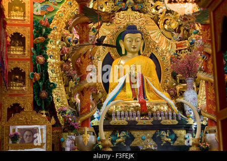 Statua di Buddha in stile tibetano ; Vajra Vidya Sansthan ; Sarnath ; Uttar Pradesh ; India Foto Stock
