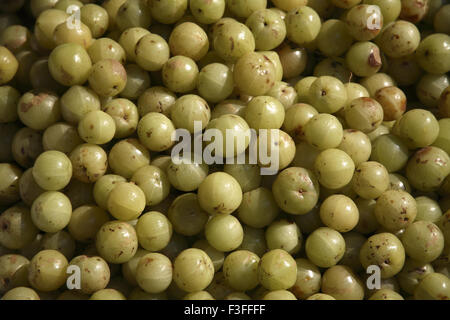 AMLA, phyllanthus emblica, emblico, emblico mirobalano, mirobalano, Uva spina indiana, frutto dell'albero di Malacca Foto Stock