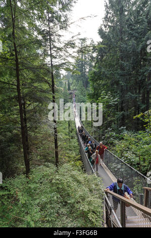 Ponte Sospeso di Capilano Park Foto Stock