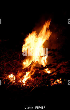 Falò, fiamme, luce notturna, sfondo del fuoco Foto Stock