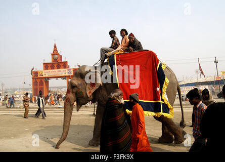 Un sadhu si trova sulla cima di un elefante per chiedere elemosina al Ardh Kumbh Mela ; ; ; India Foto Stock