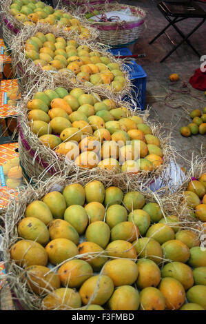 Alphonso manghi per la vendita sul mercato Crawford Bombay Mumbai India Maharashtra Foto Stock