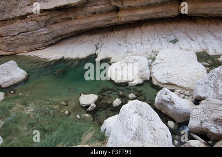 Wadi Fusc, una formazione naturale di rocce e crystal clear pool che lo rendono un popolare escursione di un giorno o di destinazione di vacanza. Foto Stock