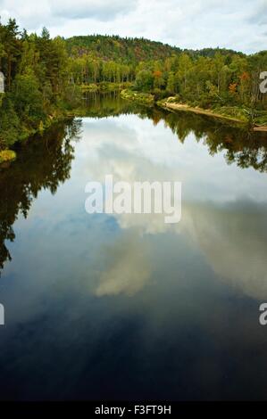 Fiume scorre attraverso la foresta Foto Stock