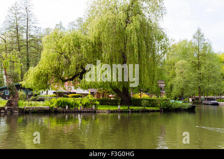 Idilliaco e vie navigabili verde della Spreewald Canal nel Brandeburgo, Germania Foto Stock