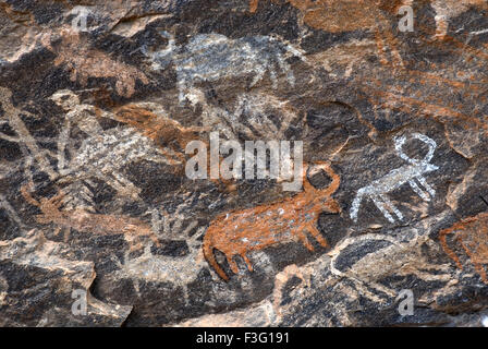 Pre rock storici dipinti a Porivarai in Karikkiyoor , Nilgiris , Tamil Nadu , India Foto Stock