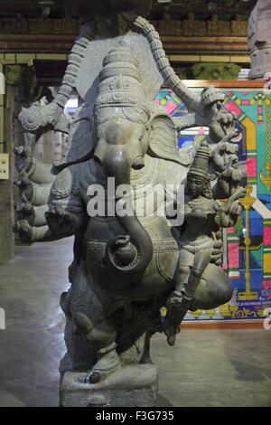 Dio Ganesha statua in Art Museum 1000 pillared hall di Meenakshi Amman Tempio costruito nel 1623 55 ; Madurai ; Tamil Nadu Foto Stock