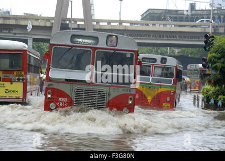 Miglior auto e bus su acqua strada connesso al cerchio Khodadad ; Dadar ; Mumbai Bombay ; Maharashtra ; India Foto Stock