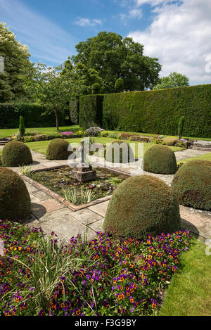 Una bellissima area formale di Arley Hall giardini nel Cheshire con perfettamente agganciato siepi e topiaria da intorno a una piscina quadrata. Foto Stock