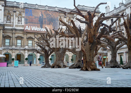 LONDON, Regno Unito - 23 settembre: Ai Wei Wei di installazione del "albero" nel piazzale della Reale Accademia delle Belle Arti Settembre 23, 2015 in Foto Stock