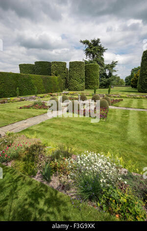 Una bellissima area formale di Arley Hall giardini nel Cheshire con ordinatamente siepi tagliate topiaria da e. Foto Stock