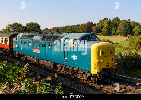 Classe 55 55019 Deltic arrivando alla stazione di Arley in Severn Valley Railway Foto Stock