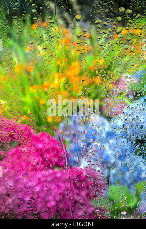 Gocce di pioggia sul vetro di una finestra con vista sul giardino confine in estate Foto Stock